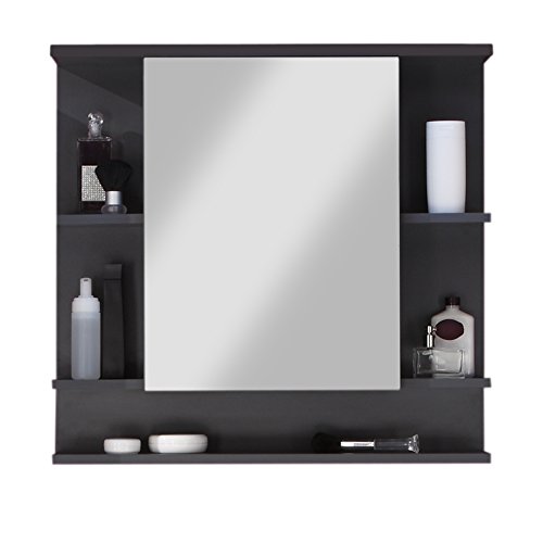 trendteam smart living Armario con espejo para baño Tetis, 72 x 76 x 20 cm, con cuerpo en grafito...